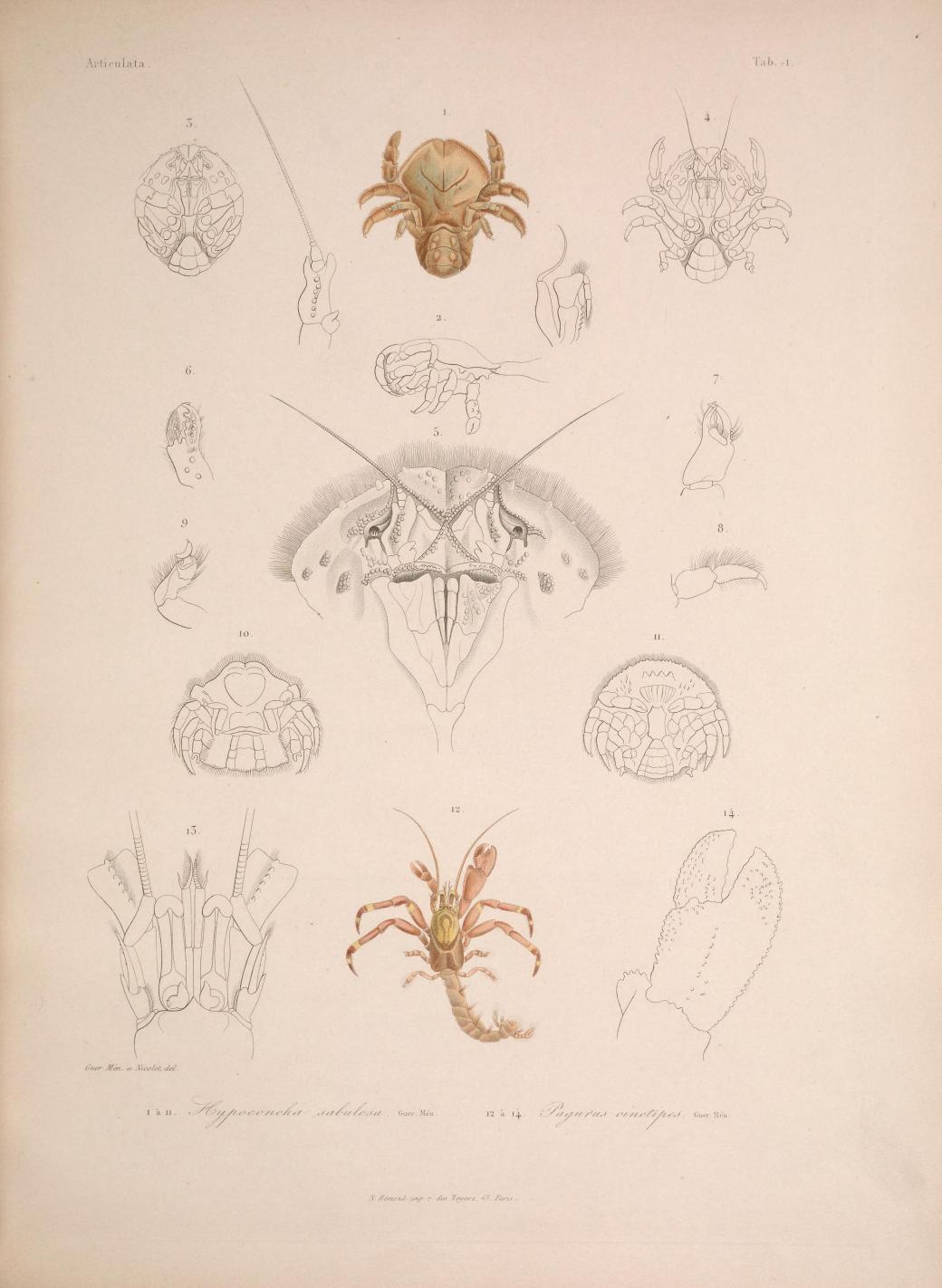 Histoirephysiqu00SagrA_0009