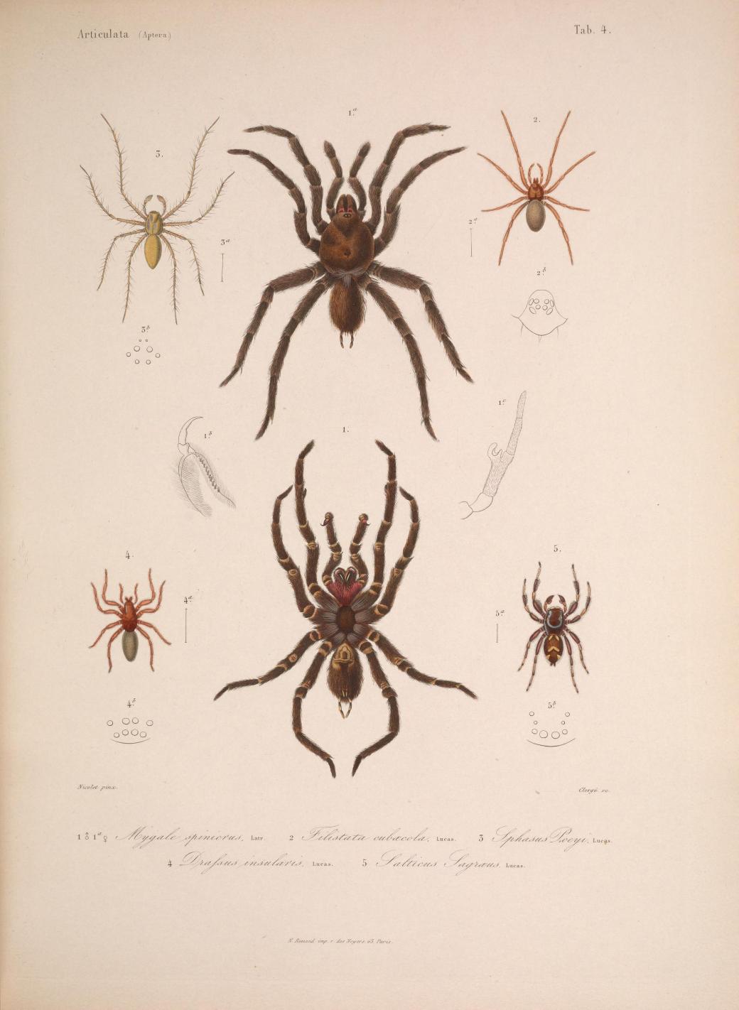 Histoirephysiqu00SagrA_0015