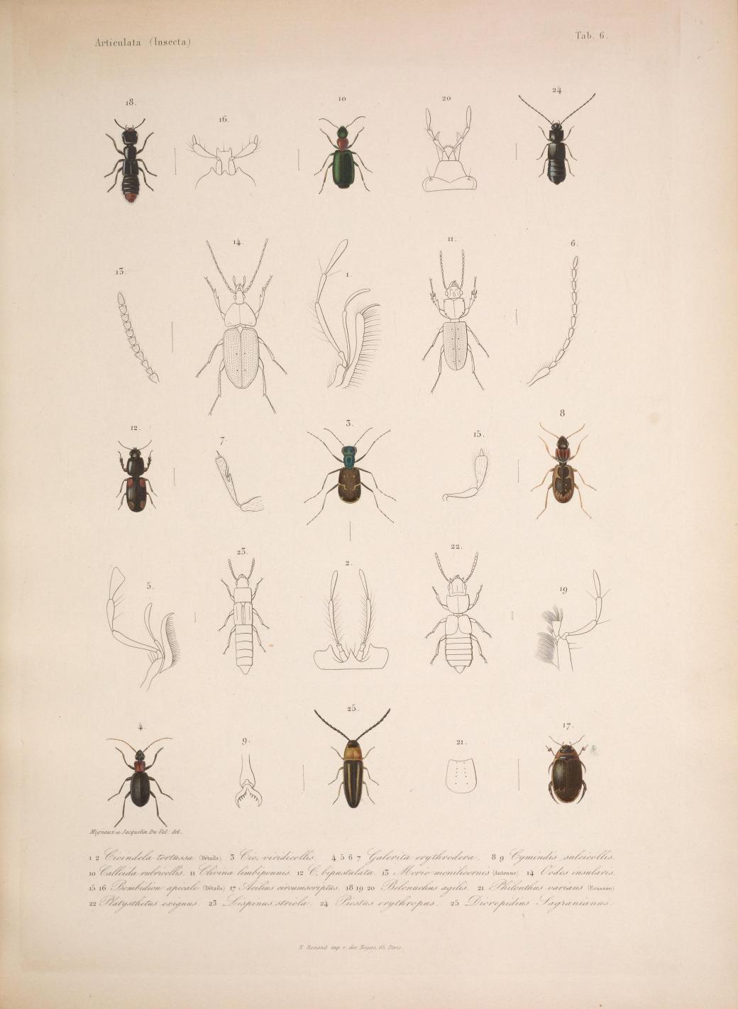 Histoirephysiqu00SagrA_0019