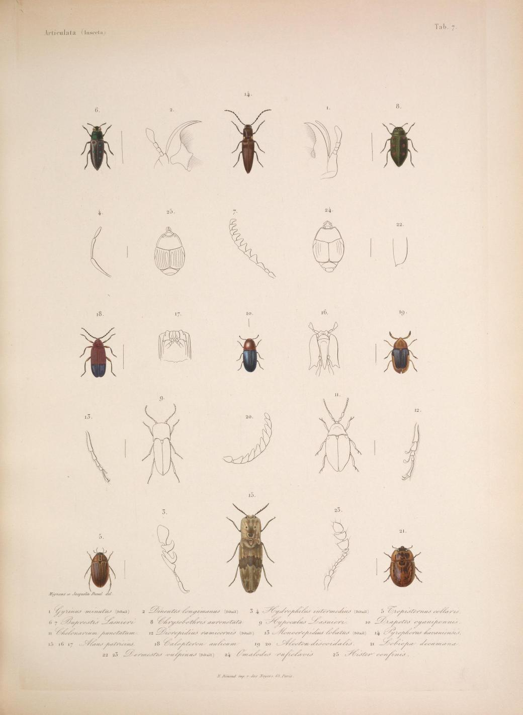 Histoirephysiqu00SagrA_0021