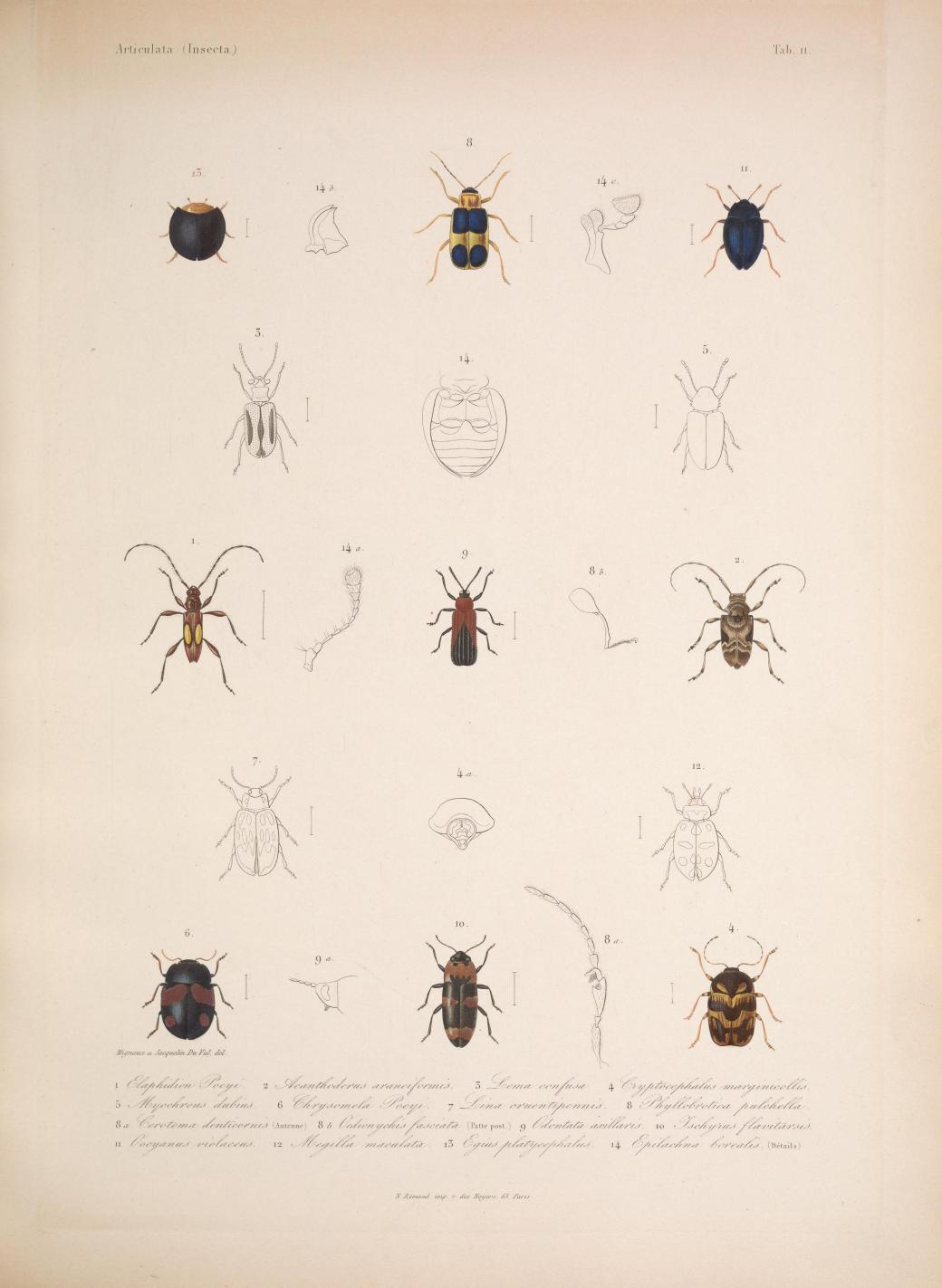 Histoirephysiqu00SagrA_0029