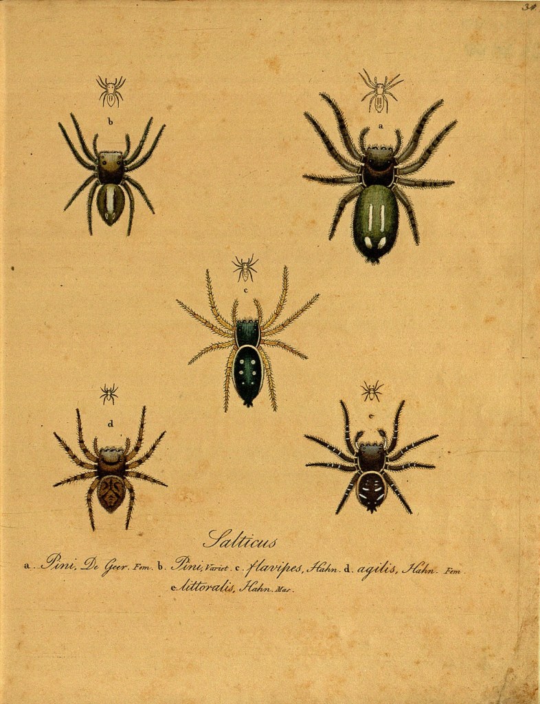 3147192455_aafb2d2281_o