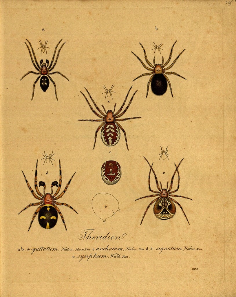 3148049218_2667555cc3_o