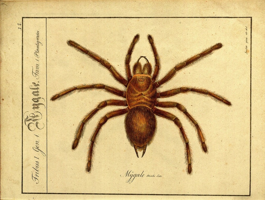 3148687509_49d834d58f_o