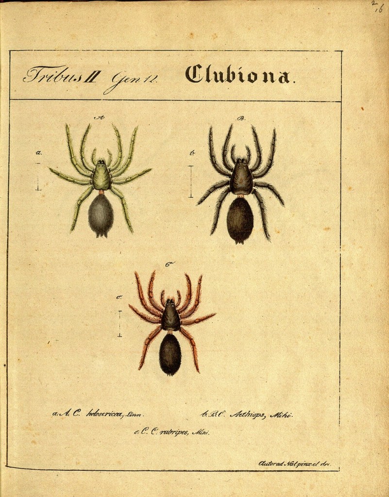 3148744227_ff922daa2c_o