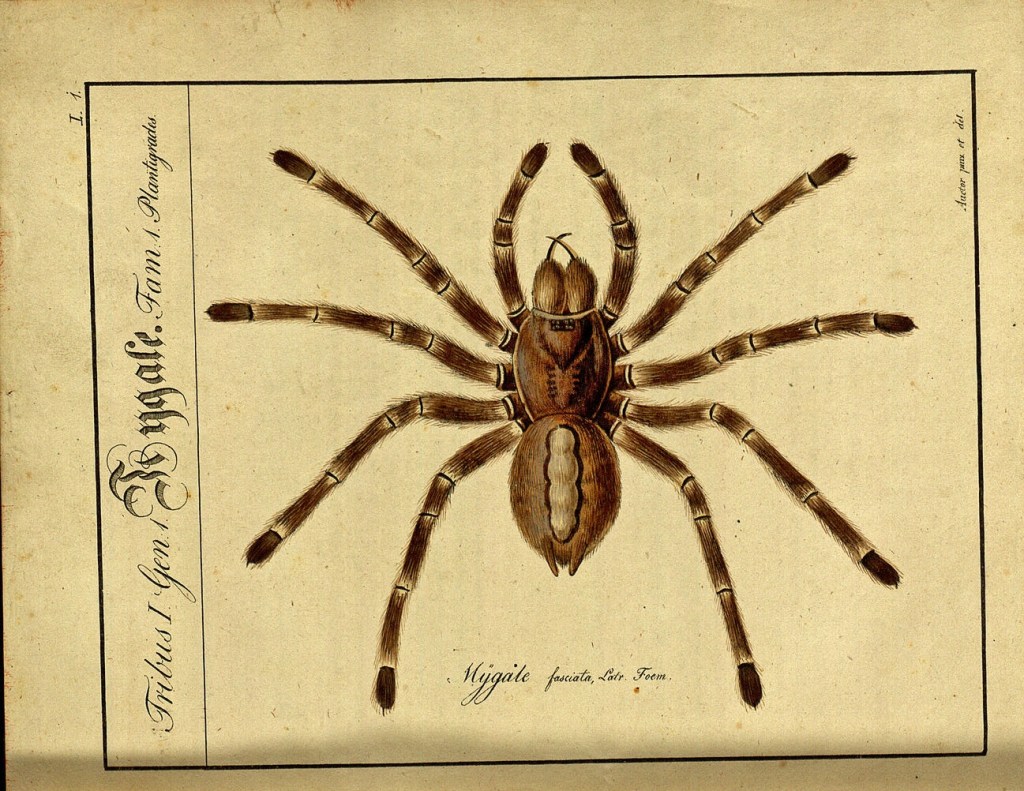 3148778403_3f632a2c11_o