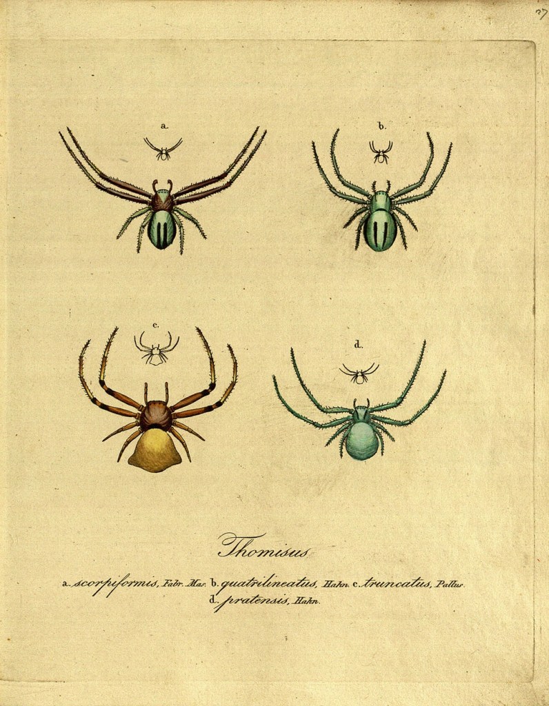 3149473288_1c775e9810_o