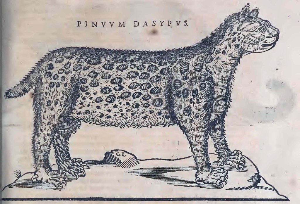 Ioannis Evsebii Nierembergii ... Historia natvrae, maxime peregr