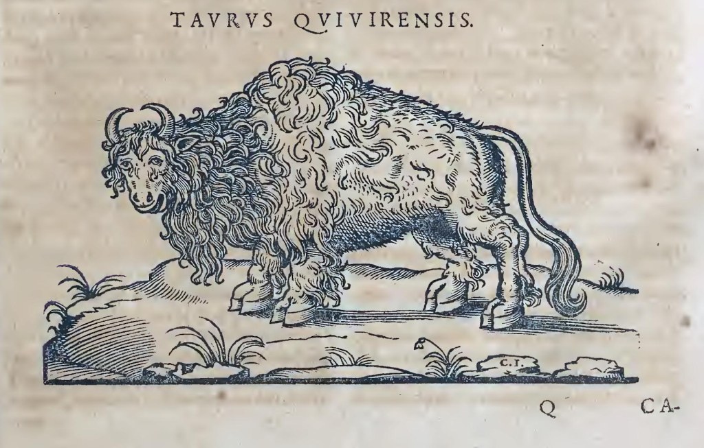 Ioannis Evsebii Nierembergii ... Historia natvrae, maxime peregr