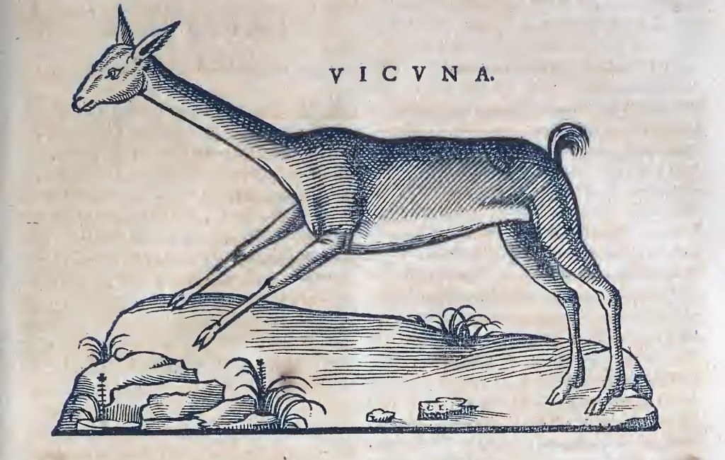 Ioannis Evsebii Nierembergii ... Historia natvrae, maxime peregr