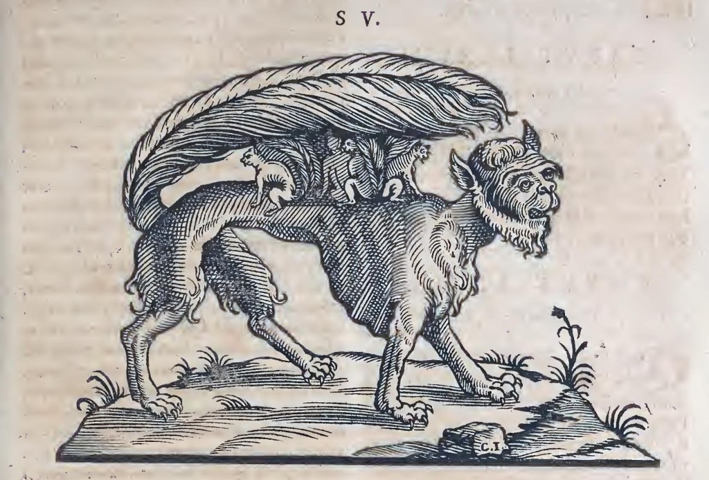 Ioannis Evsebii Nierembergii ... Historia natvrae, maxime peregr