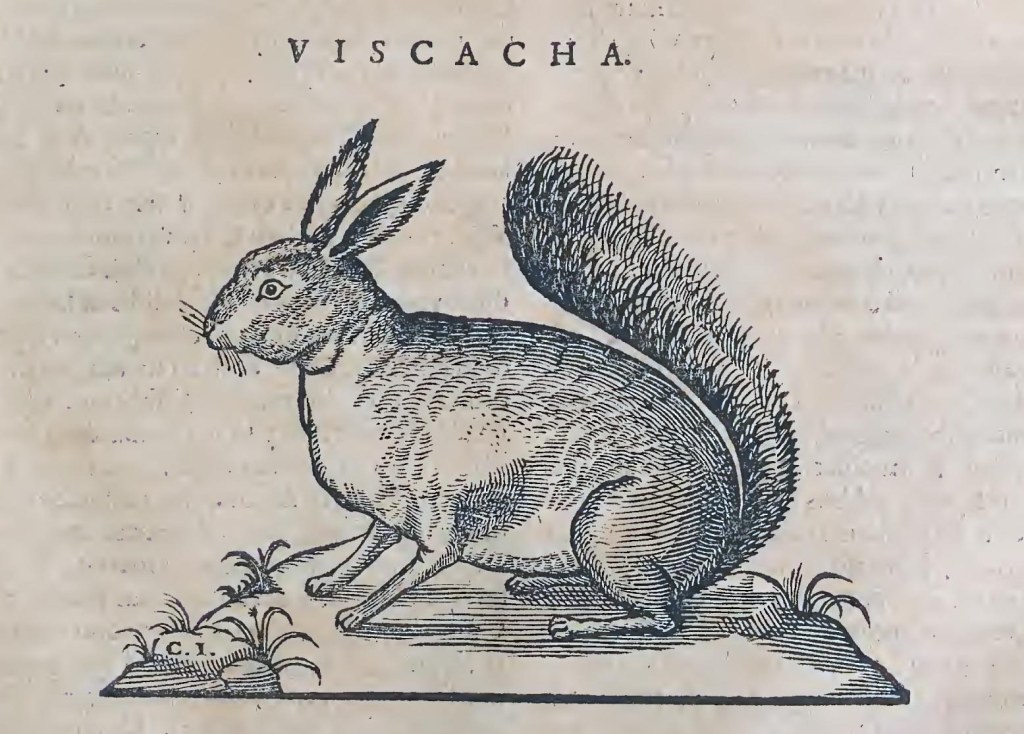 Ioannis Evsebii Nierembergii ... Historia natvrae, maxime peregr