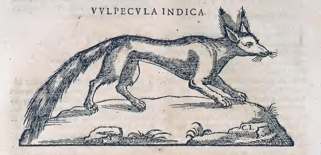 Ioannis Evsebii Nierembergii ... Historia natvrae, maxime peregr