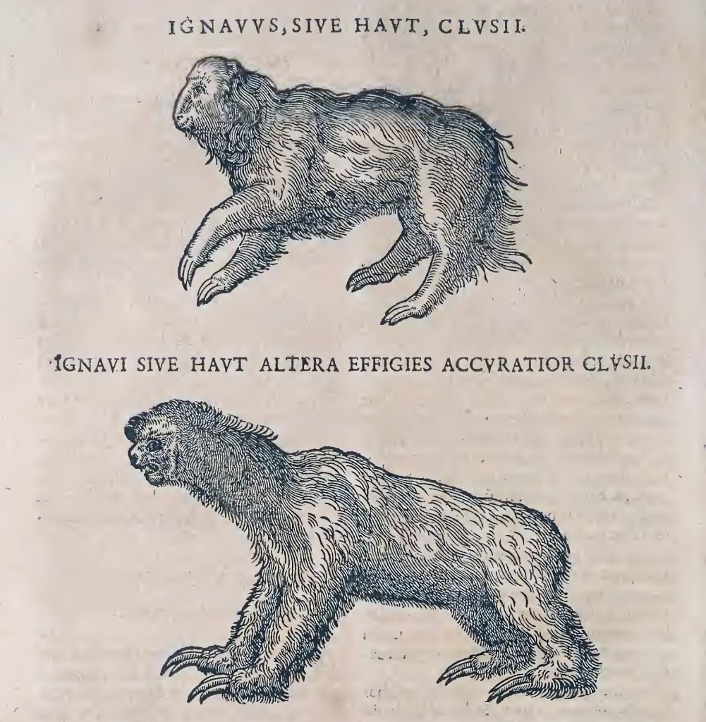 Ioannis Evsebii Nierembergii ... Historia natvrae, maxime peregr