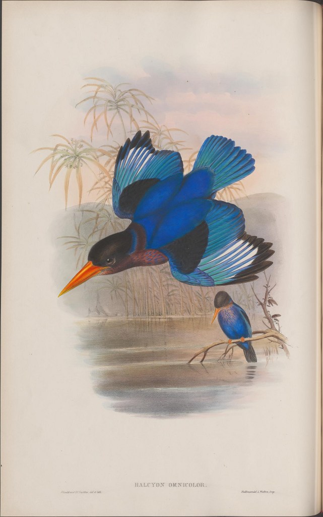 13928595507_cacd16078a_k