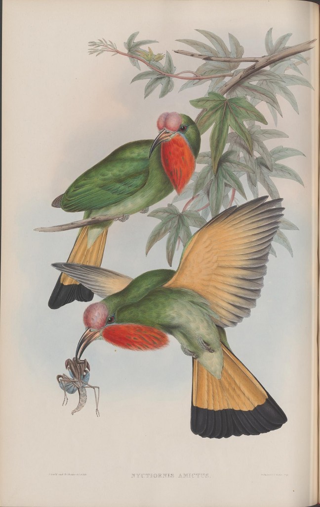 13928596119_c796c0c805_k