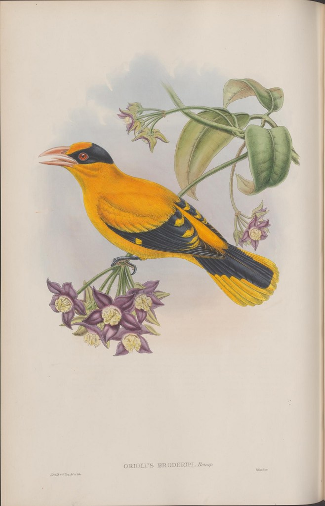 13932426307_b364d39229_k