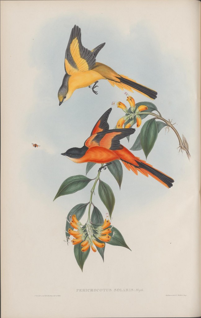 13932474440_56c9dba110_k