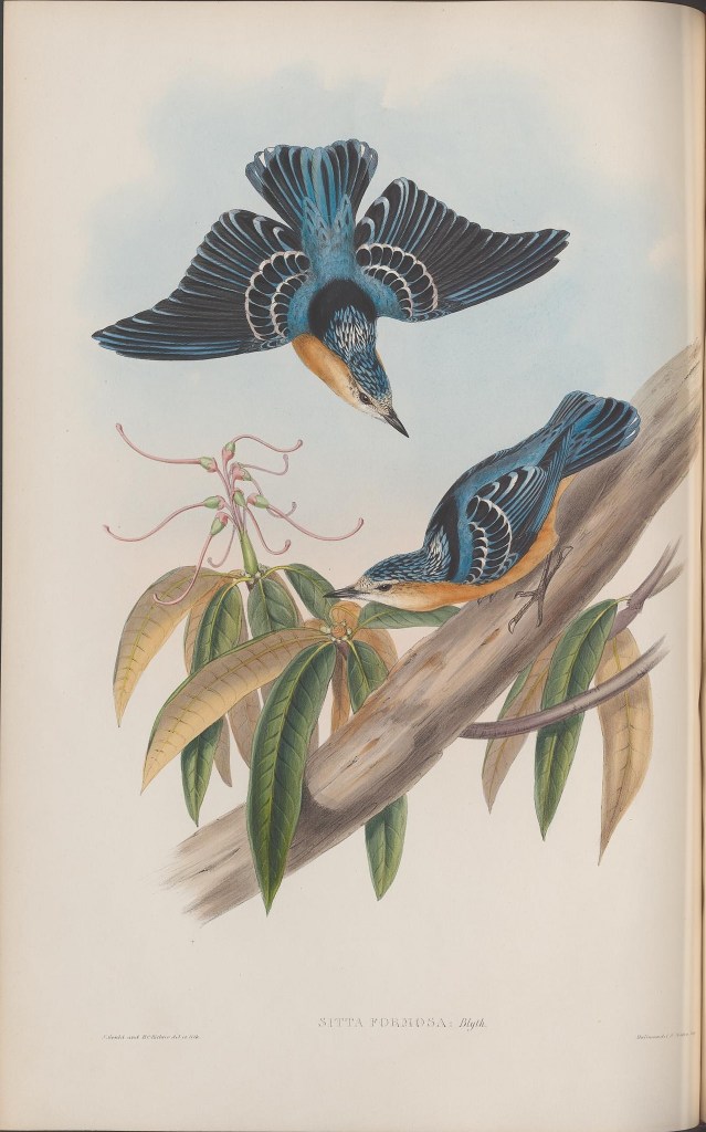 13932481990_ddad5b8231_k