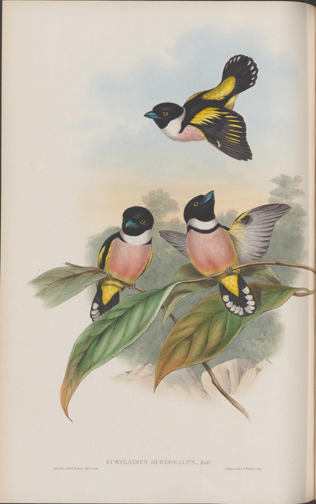 14092102686_7bc01604a7_k