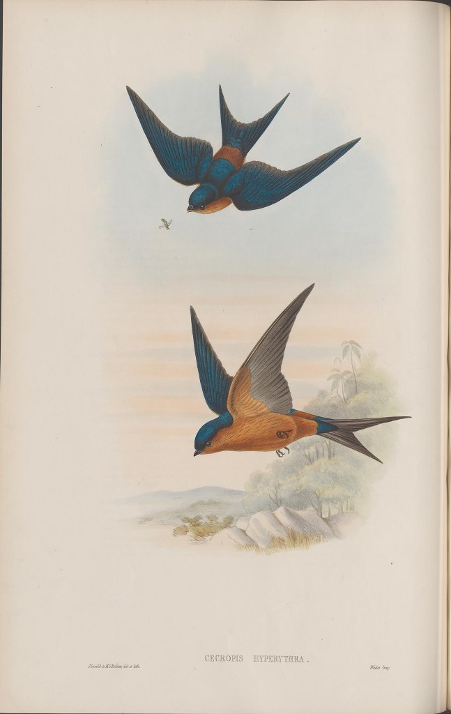 14092104306_711d4b14a5_k