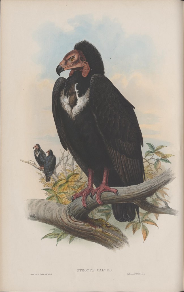 14095935686_023fbc2b19_k