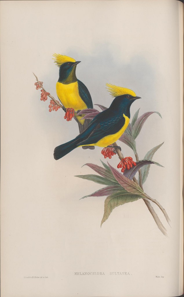 14112189362_dccd525536_k