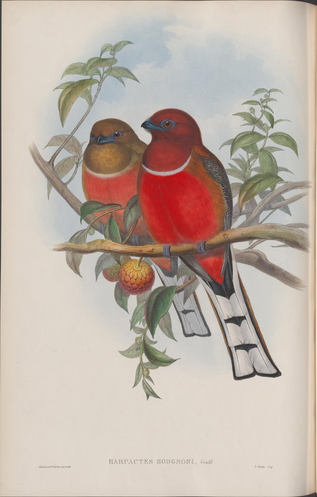 14112190492_4b72735614_k