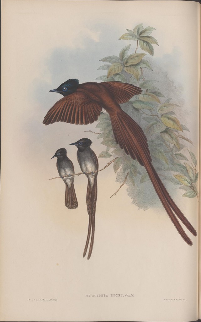 14115616304_3c4a12e8e0_k