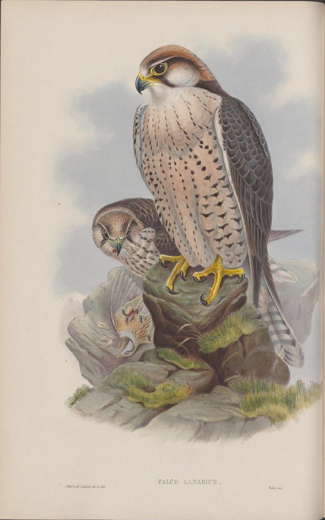 14115623074_31edc2ecc0_k