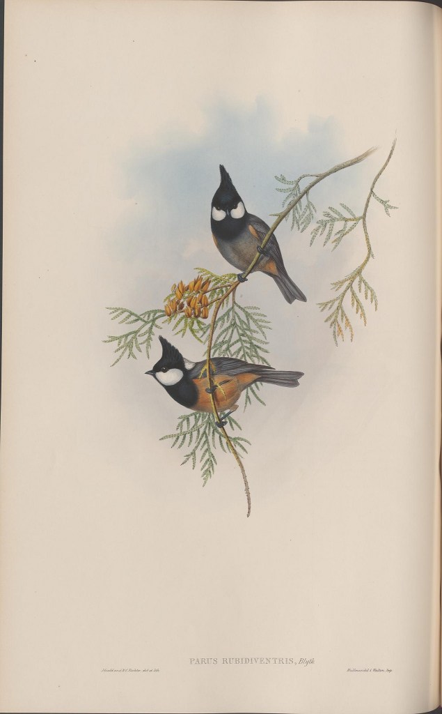 14116049842_6c0c14a347_k