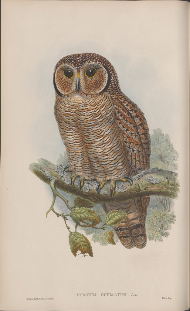 14139178613_98dd511ec7_k