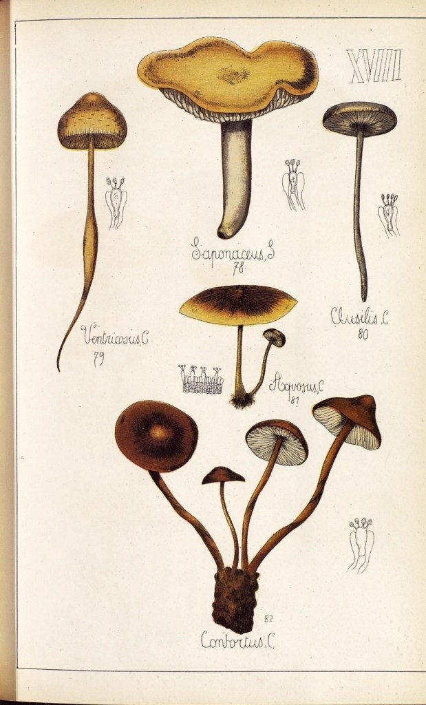 4085679099_8fa7ca232d_o