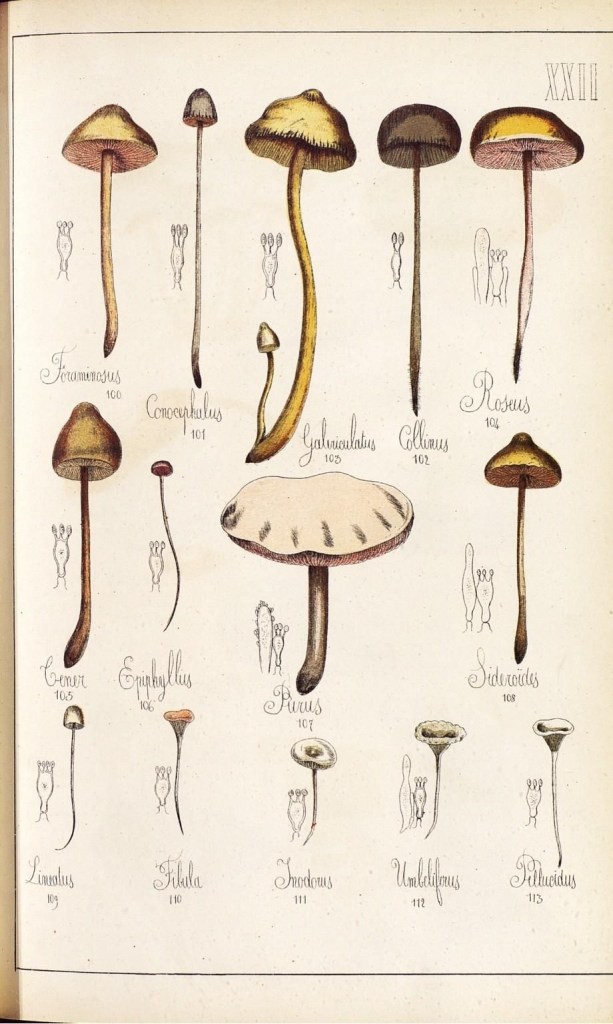 4085680353_8ca8a4e4c2_o