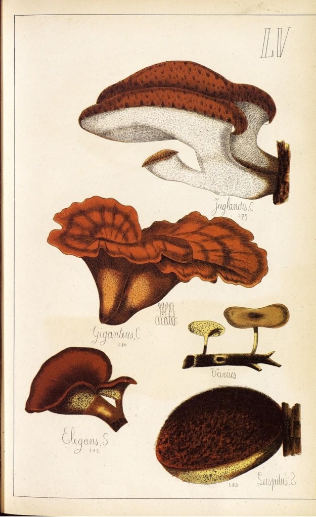 4085690169_40d6ba280f_o