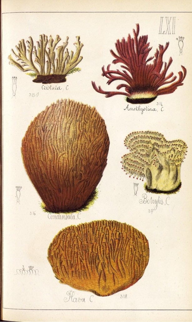 4085692795_8d1cfd2183_o