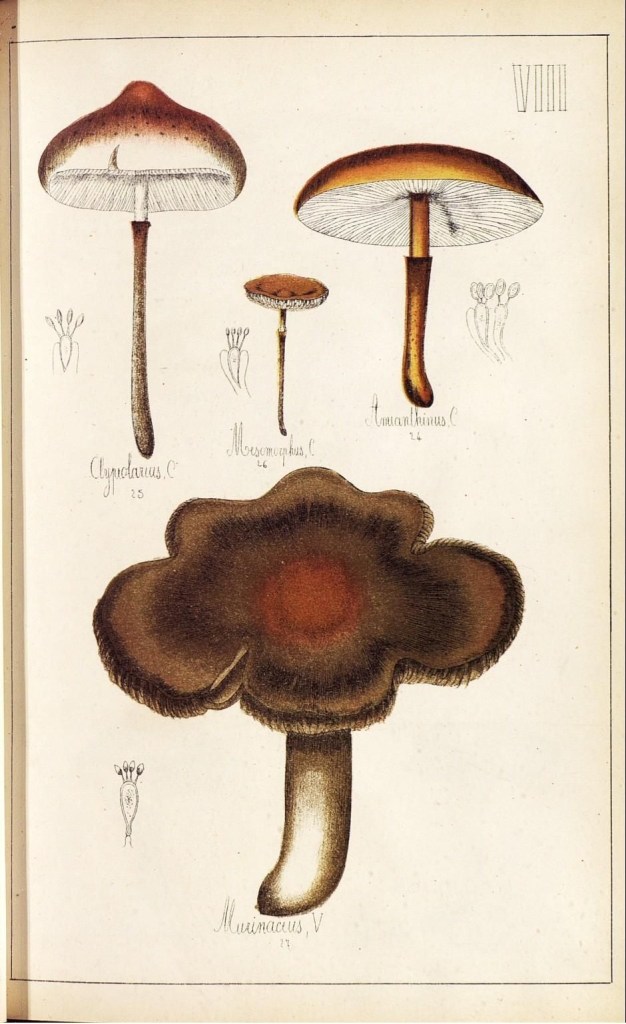 4086433192_700b34e460_o