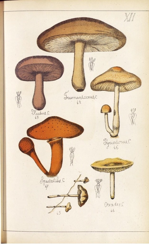 4086434540_6e0f337445_o