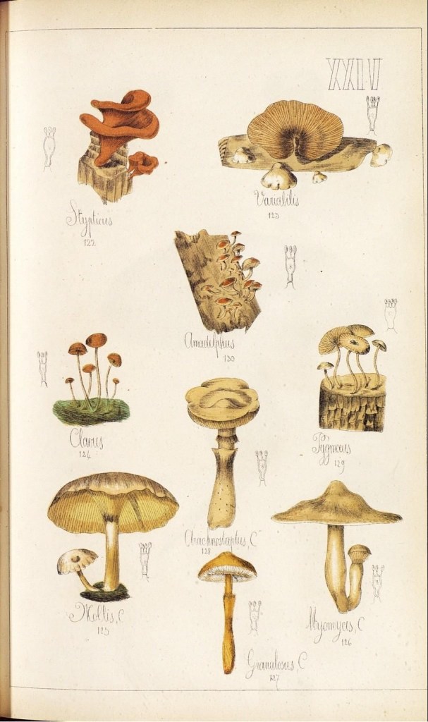 4086438734_882f058161_o