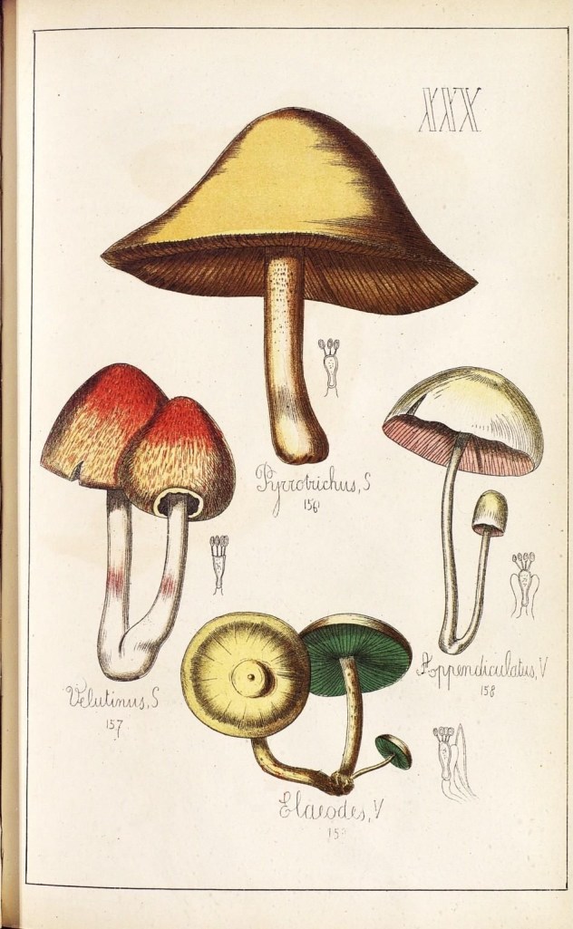 4086440442_fe5039ced5_o