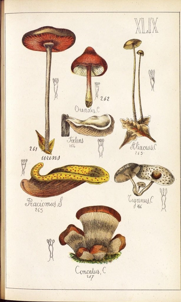 4086445024_25762d4ae3_o