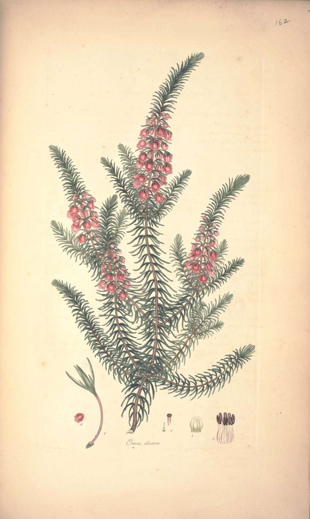 17437392884_4a1fdfccba_k