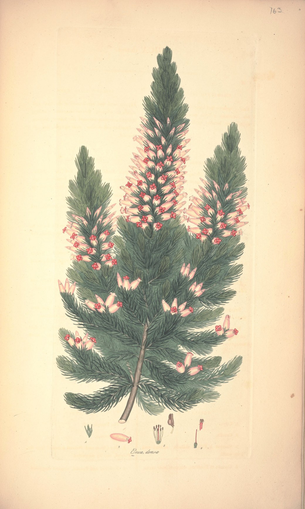 17872064708_a5316f83db_k