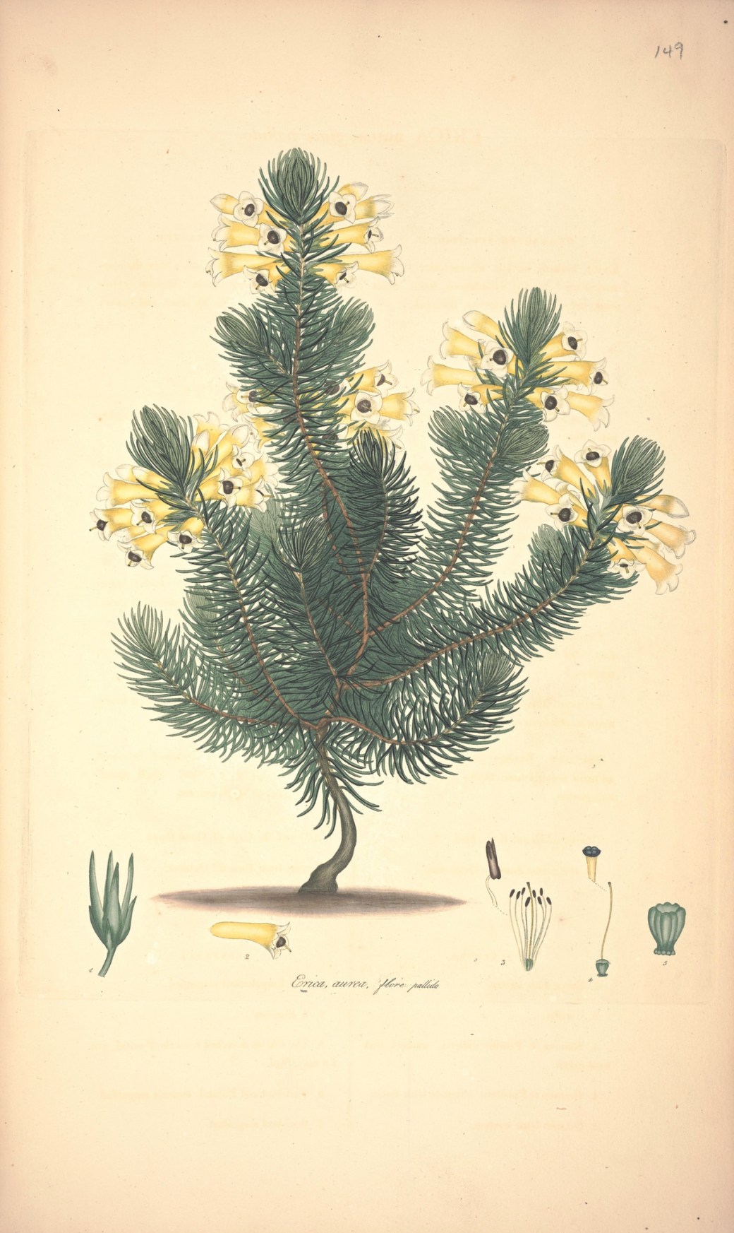 17872088998_40d1d9ae79_k