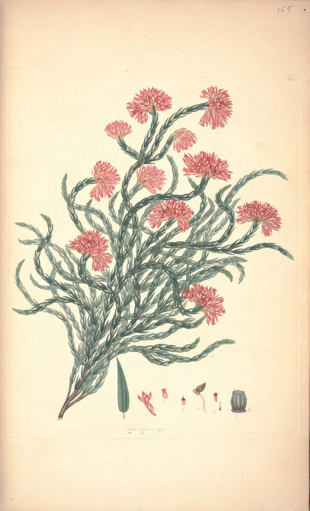 18060005815_ecfcb43bae_k