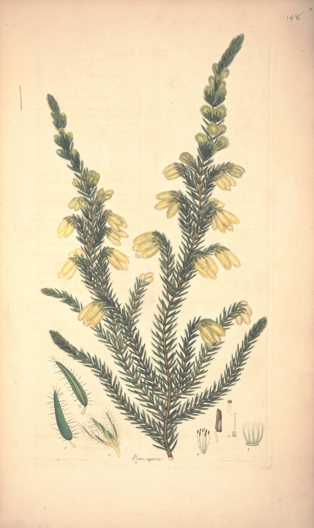 18060018445_f5dcf8130f_k