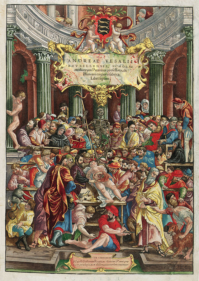 639px-Vesalius_color-1543