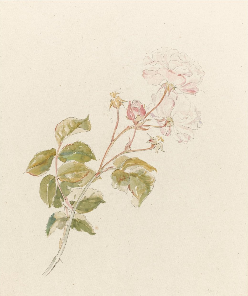 12493511_1672539093030973_3791036035775882379_o