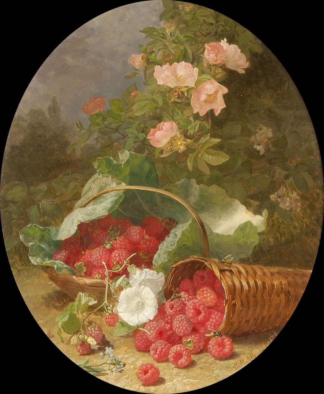 11038104_1600780423540174_5510511596768607539_o