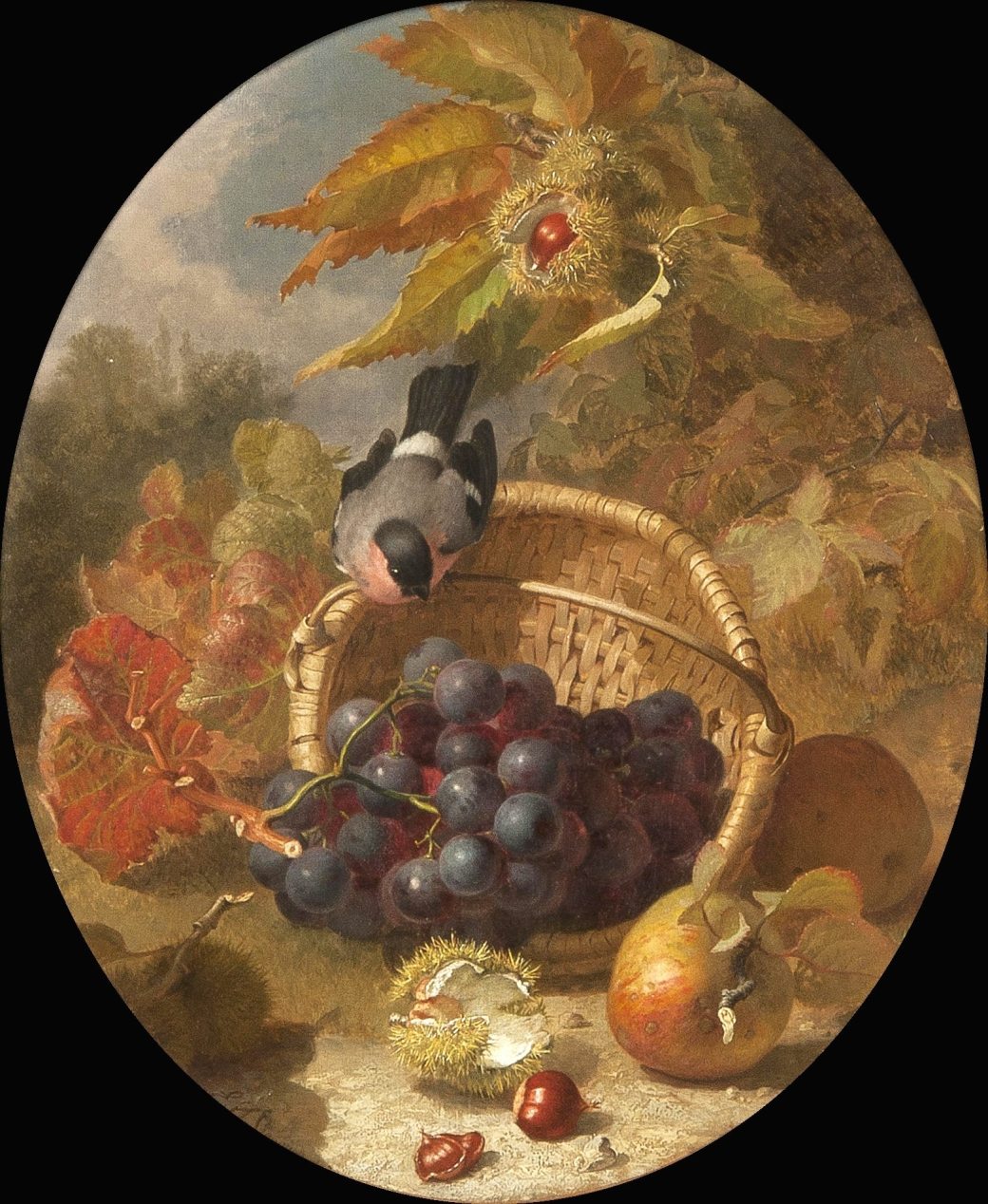 11232173_1600779440206939_9109002407768248512_o